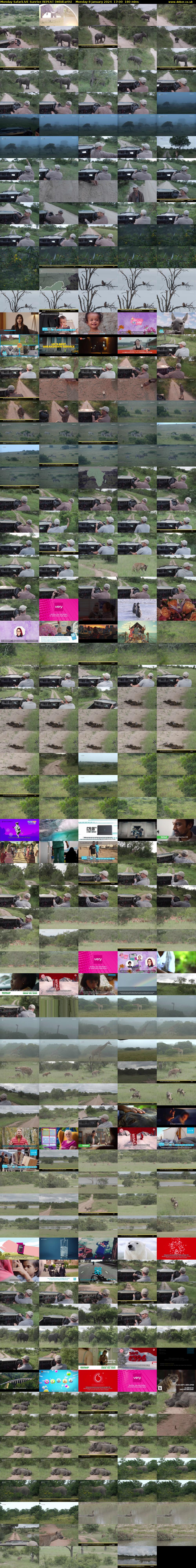 Monday SafariLIVE Sunrise REPEAT (WildEarth) Monday 8 January 2024 17:00 - 20:00