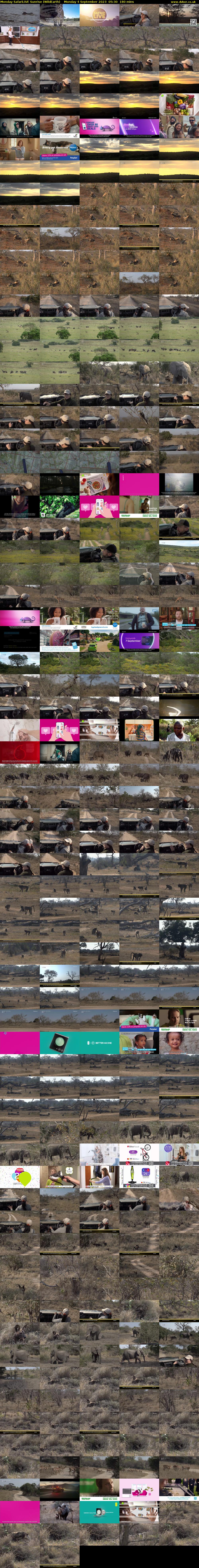 Monday SafariLIVE Sunrise (WildEarth) Monday 4 September 2023 05:30 - 08:30