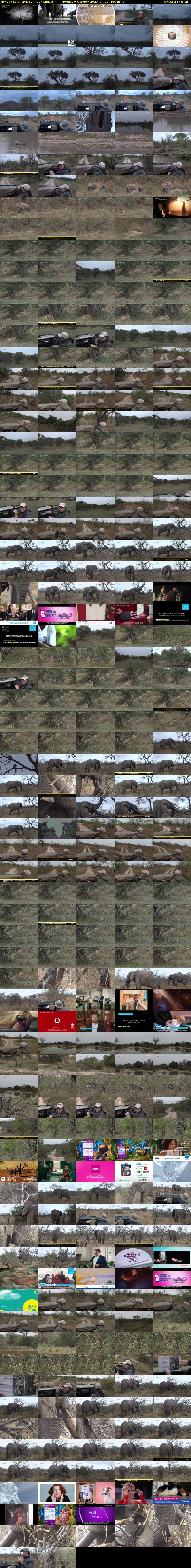 Monday SafariLIVE Sunrise (WildEarth) Monday 9 October 2023 04:30 - 07:30