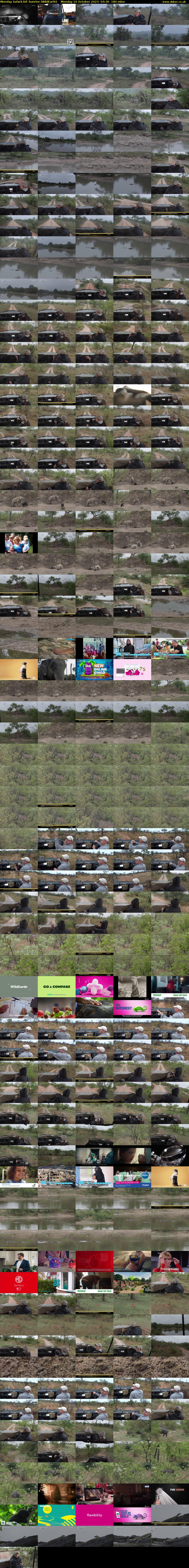 Monday SafariLIVE Sunrise (WildEarth) Monday 16 October 2023 04:30 - 07:30
