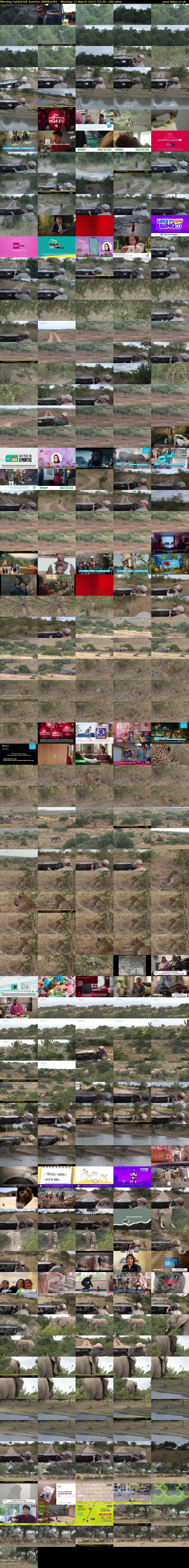 Monday SafariLIVE Sunrise (WildEarth) Monday 11 March 2024 07:30 - 10:30
