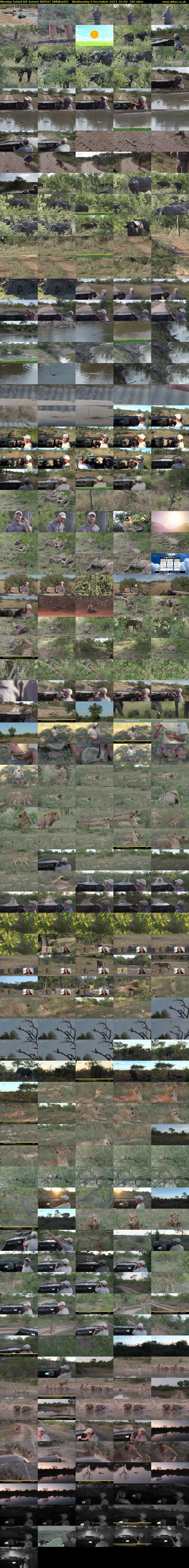 Monday SafariLIVE Sunset REPEAT (WildEarth) Wednesday 6 December 2023 01:00 - 04:00