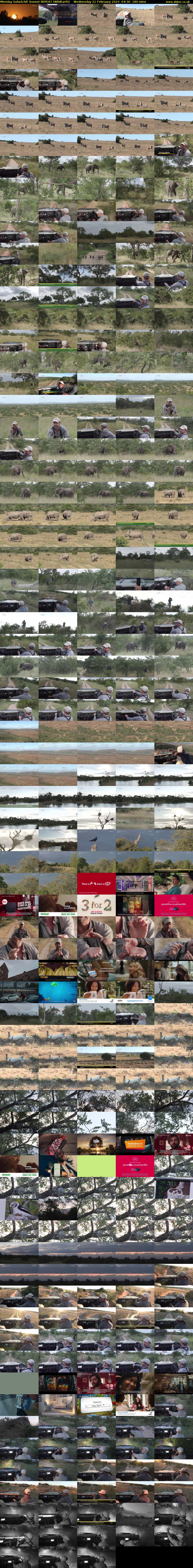 Monday SafariLIVE Sunset REPEAT (WildEarth) Wednesday 21 February 2024 04:30 - 07:30