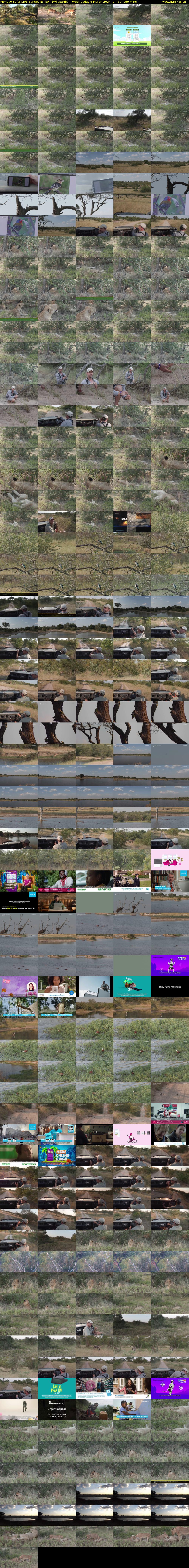 Monday SafariLIVE Sunset REPEAT (WildEarth) Wednesday 6 March 2024 04:30 - 07:30