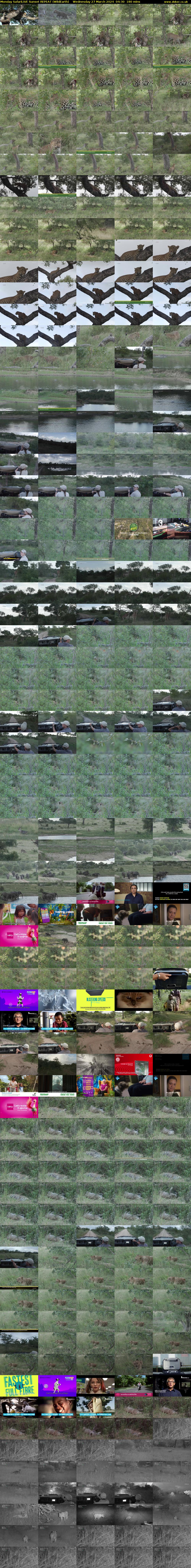 Monday SafariLIVE Sunset REPEAT (WildEarth) Wednesday 27 March 2024 04:30 - 07:30