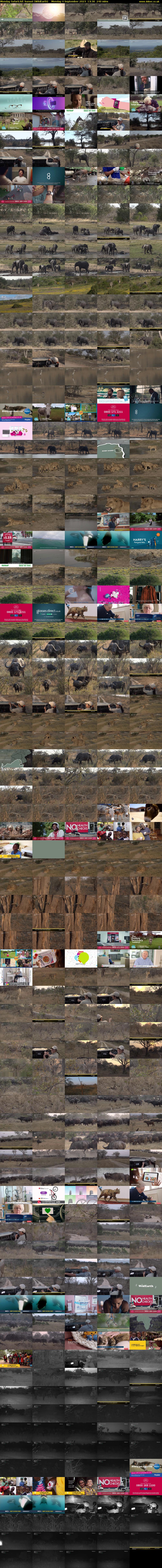 Monday SafariLIVE Sunset (WildEarth) Monday 4 September 2023 13:30 - 17:30