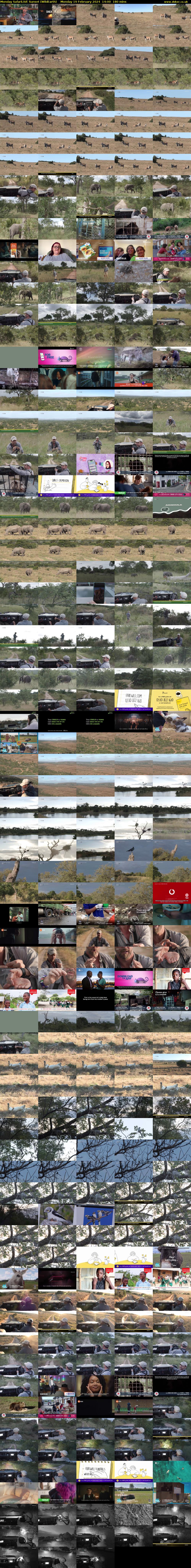 Monday SafariLIVE Sunset (WildEarth) Monday 19 February 2024 14:00 - 17:00