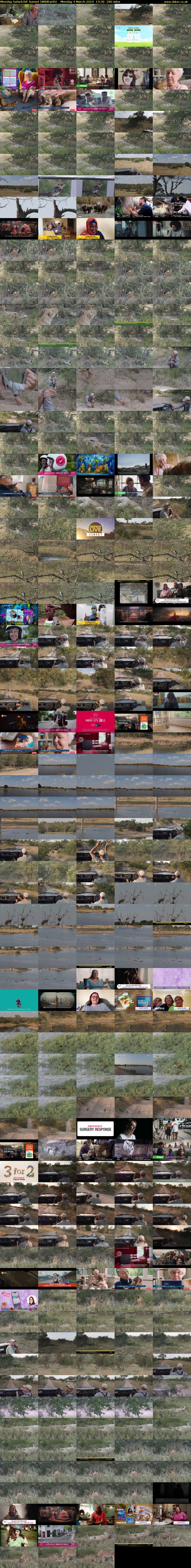 Monday SafariLIVE Sunset (WildEarth) Monday 4 March 2024 13:30 - 16:30