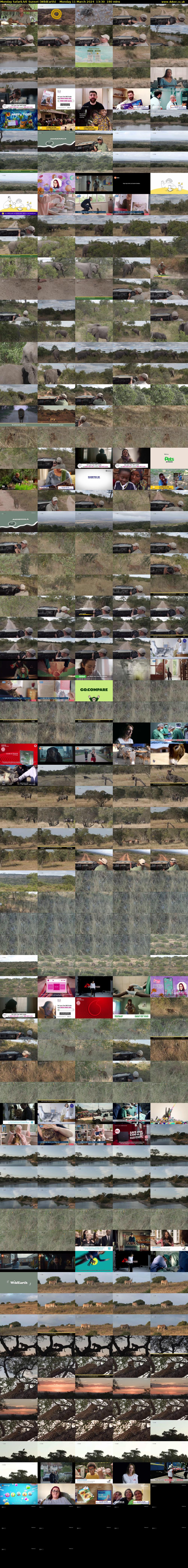 Monday SafariLIVE Sunset (WildEarth) Monday 11 March 2024 13:30 - 16:30