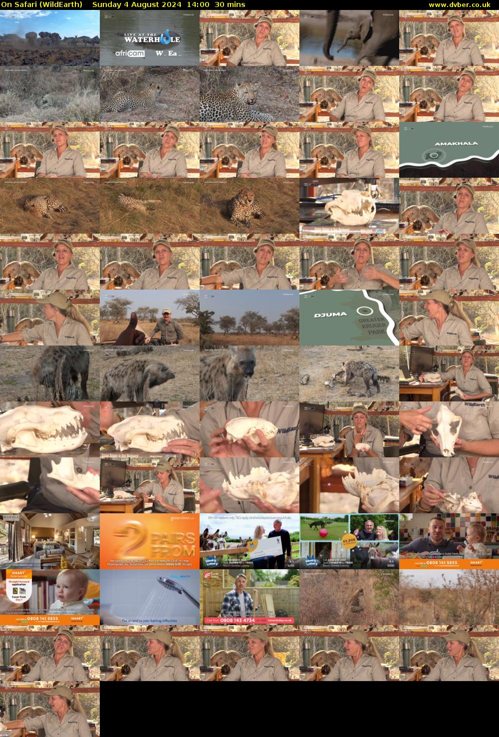 On Safari (WildEarth) Sunday 4 August 2024 14:00 - 14:30