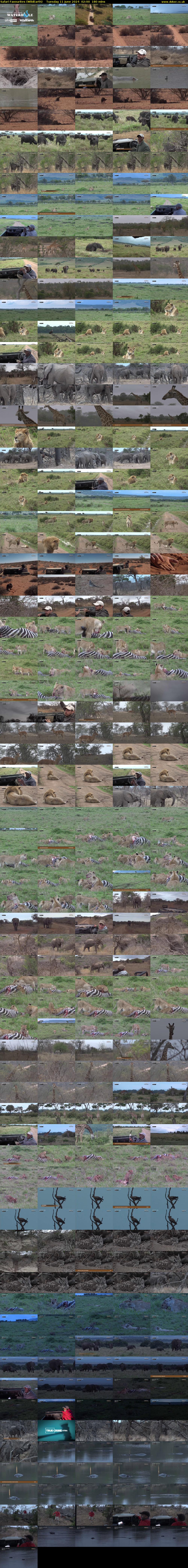 Safari Favourites (WildEarth) Tuesday 11 June 2024 02:00 - 05:00