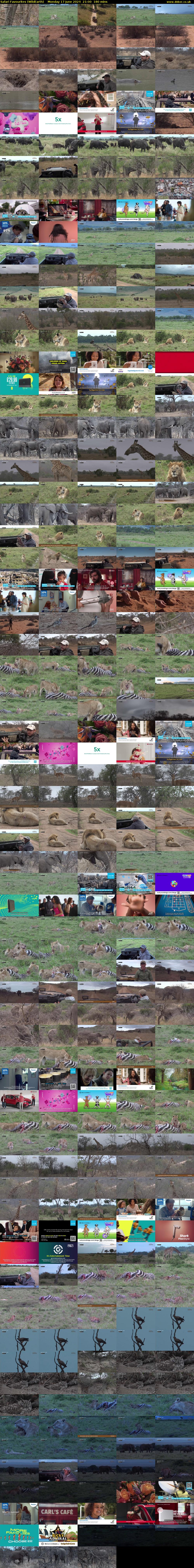 Safari Favourites (WildEarth) Monday 17 June 2024 21:00 - 00:00