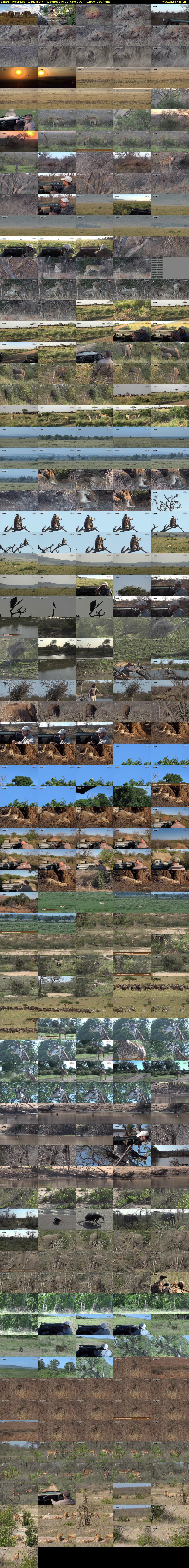 Safari Favourites (WildEarth) Wednesday 19 June 2024 02:00 - 05:00