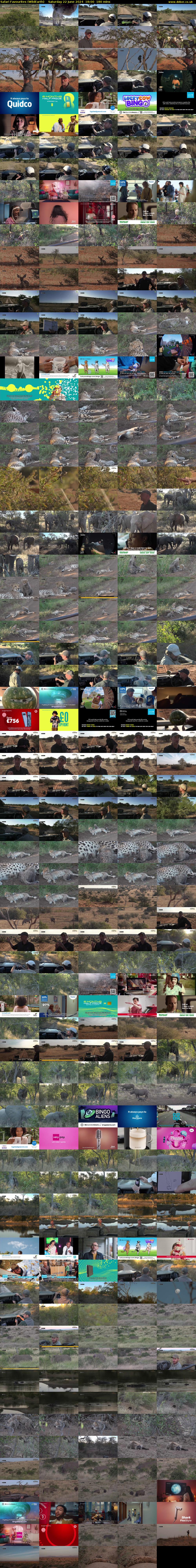 Safari Favourites (WildEarth) Saturday 22 June 2024 18:00 - 21:00