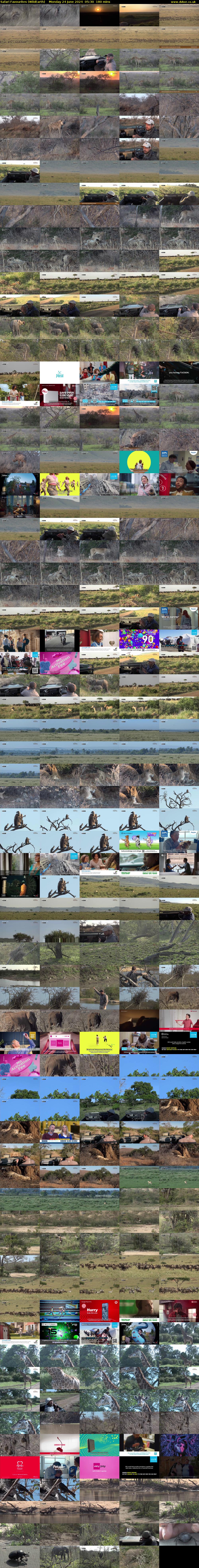 Safari Favourites (WildEarth) Monday 24 June 2024 05:30 - 08:30