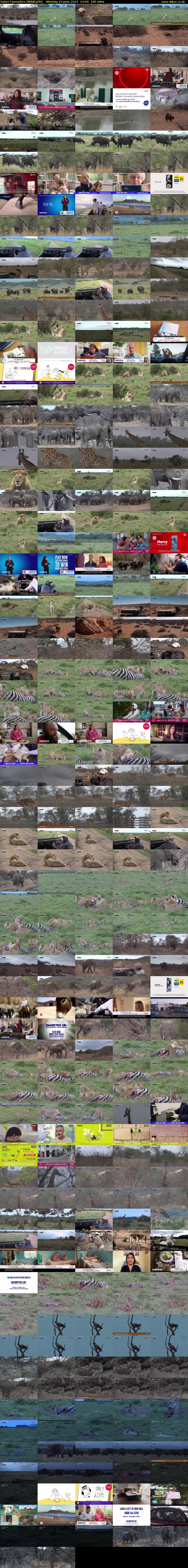Safari Favourites (WildEarth) Monday 24 June 2024 14:00 - 17:00