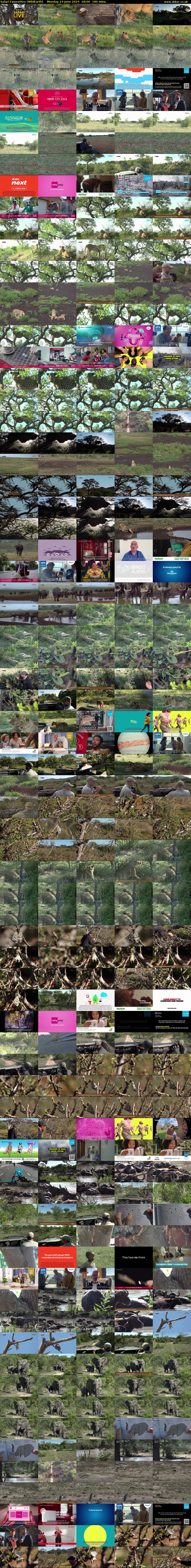 Safari Favourites (WildEarth) Monday 24 June 2024 18:00 - 21:00