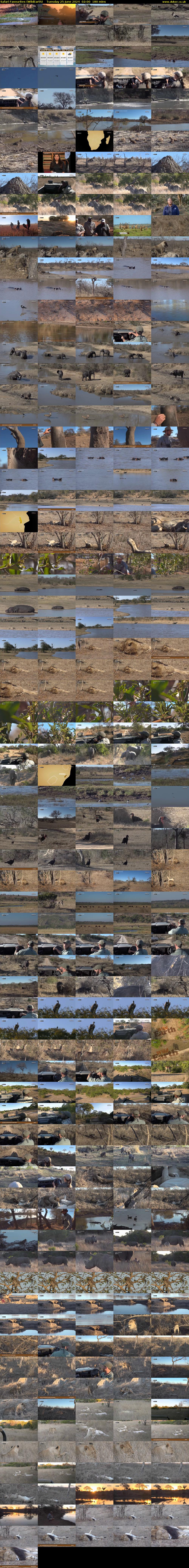Safari Favourites (WildEarth) Tuesday 25 June 2024 02:00 - 05:00