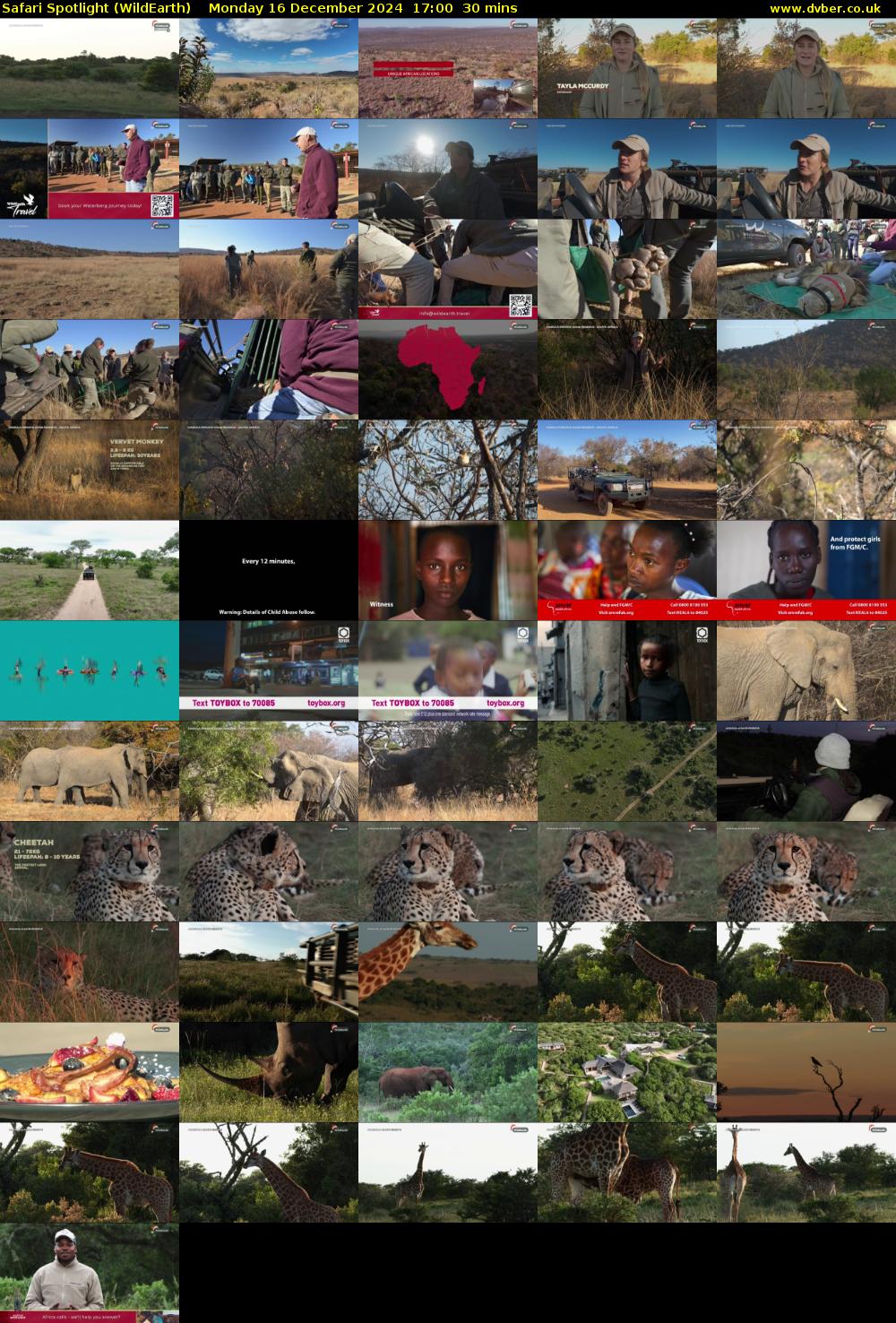 Safari Spotlight (WildEarth) Monday 16 December 2024 17:00 - 17:30