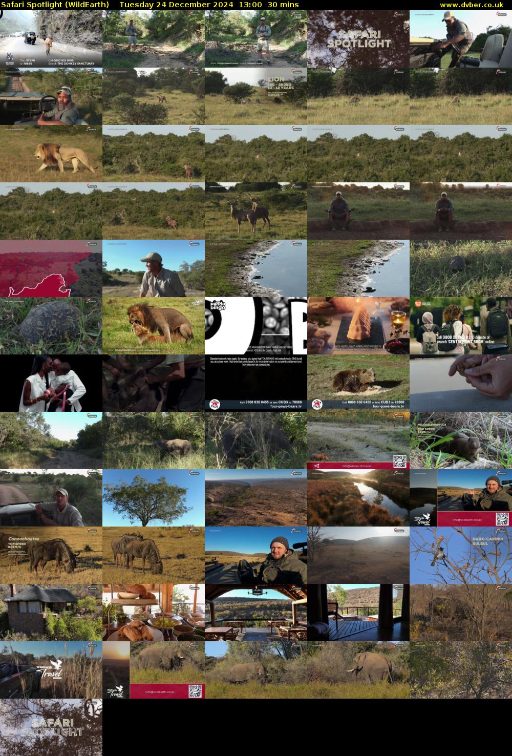Safari Spotlight (WildEarth) Tuesday 24 December 2024 13:00 - 13:30