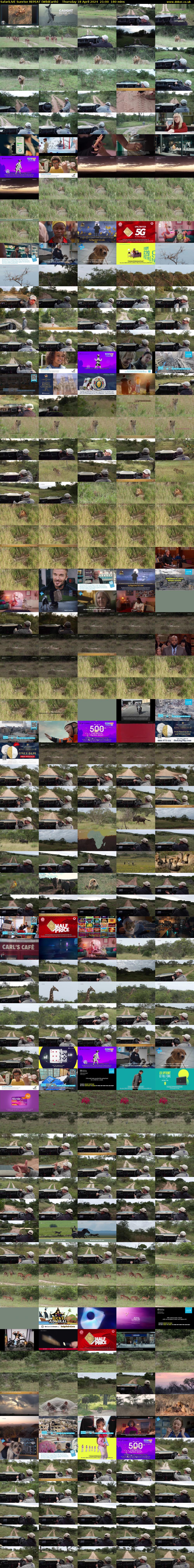 SafariLIVE Sunrise REPEAT (WildEarth) Thursday 18 April 2024 21:00 - 00:00