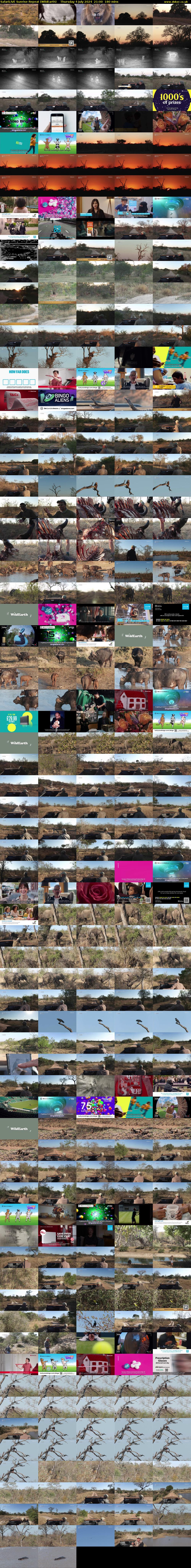 SafariLIVE Sunrise REPEAT (WildEarth) Thursday 4 July 2024 21:00 - 00:00