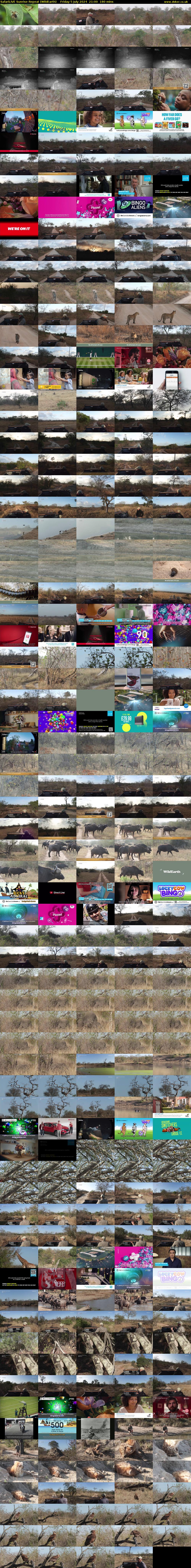SafariLIVE Sunrise REPEAT (WildEarth) Friday 5 July 2024 21:00 - 00:00