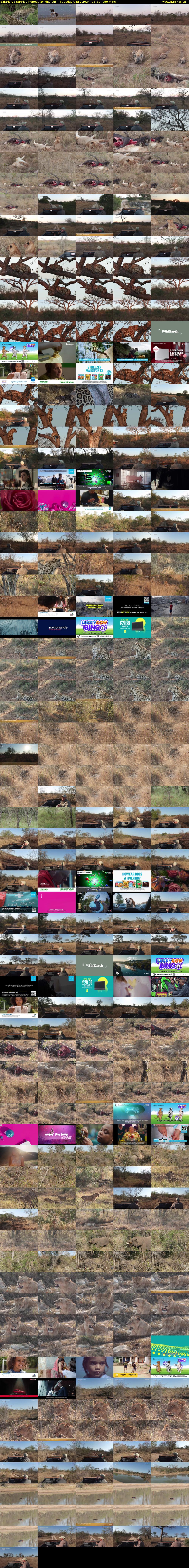 SafariLIVE Sunrise REPEAT (WildEarth) Tuesday 9 July 2024 05:30 - 08:30