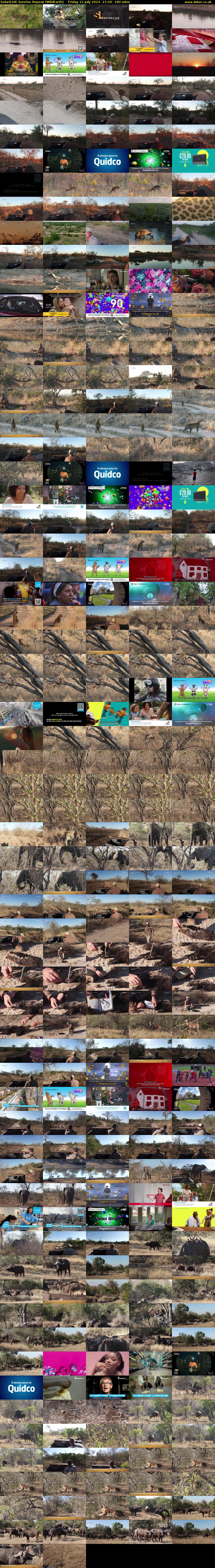 SafariLIVE Sunrise REPEAT (WildEarth) Friday 12 July 2024 21:00 - 00:00