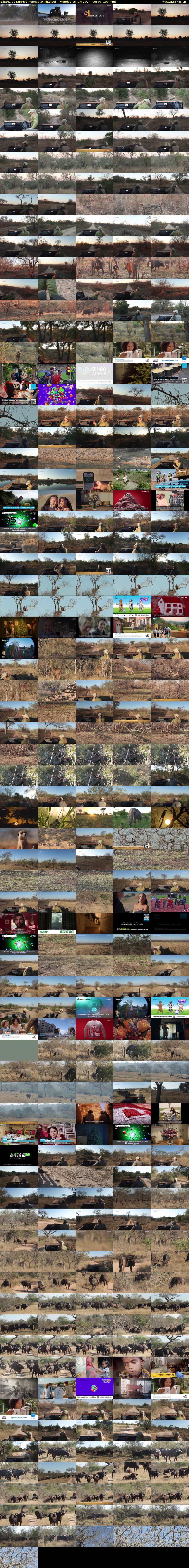 SafariLIVE Sunrise REPEAT (WildEarth) Monday 15 July 2024 05:30 - 08:30