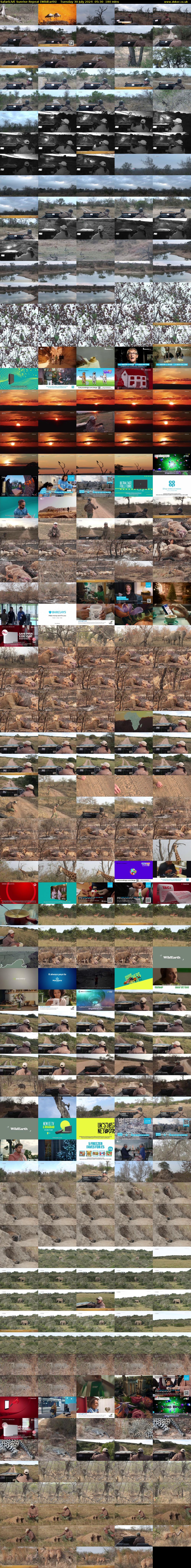 SafariLIVE Sunrise REPEAT (WildEarth) Tuesday 30 July 2024 05:30 - 08:30