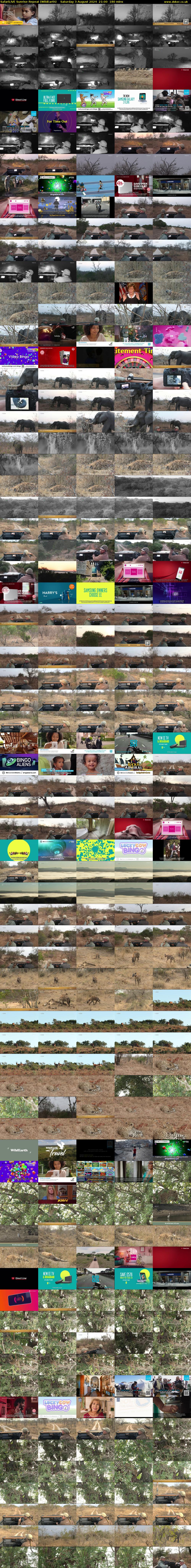SafariLIVE Sunrise REPEAT (WildEarth) Saturday 3 August 2024 21:00 - 00:00