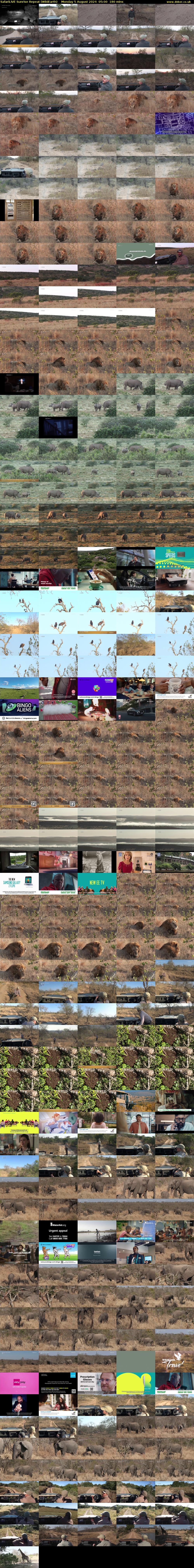 SafariLIVE Sunrise REPEAT (WildEarth) Monday 5 August 2024 05:00 - 08:00