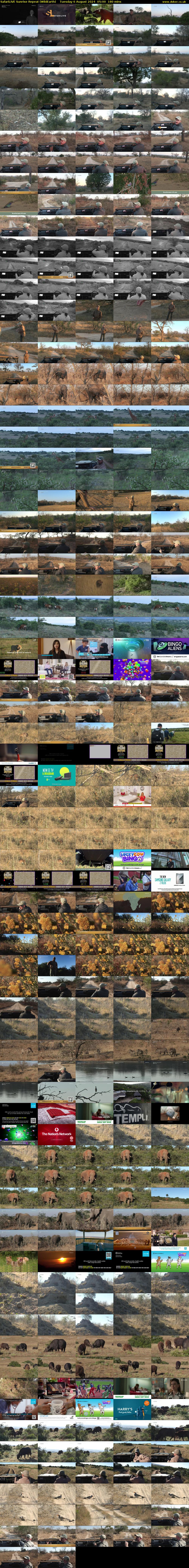 SafariLIVE Sunrise REPEAT (WildEarth) Tuesday 6 August 2024 05:00 - 08:00
