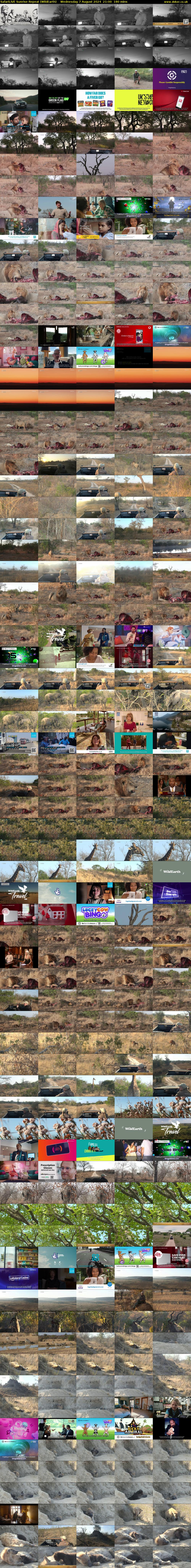SafariLIVE Sunrise REPEAT (WildEarth) Wednesday 7 August 2024 21:00 - 00:00