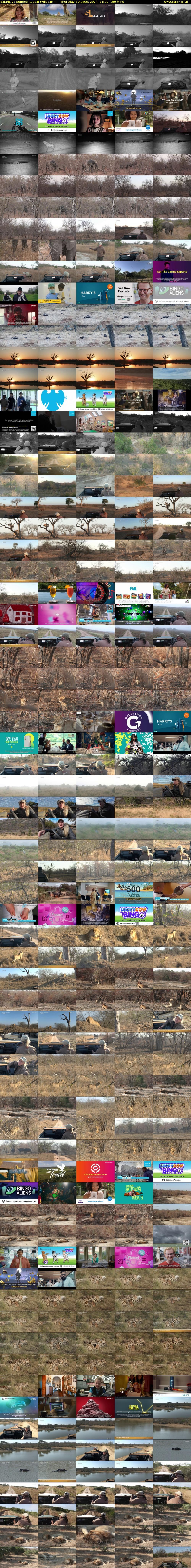 SafariLIVE Sunrise REPEAT (WildEarth) Thursday 8 August 2024 21:00 - 00:00