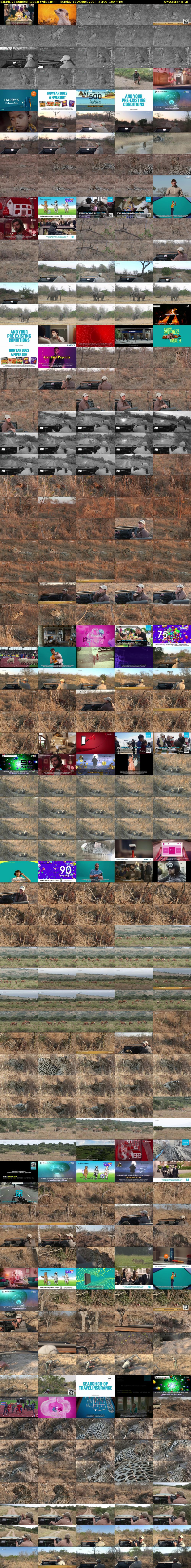 SafariLIVE Sunrise REPEAT (WildEarth) Sunday 11 August 2024 21:00 - 00:00