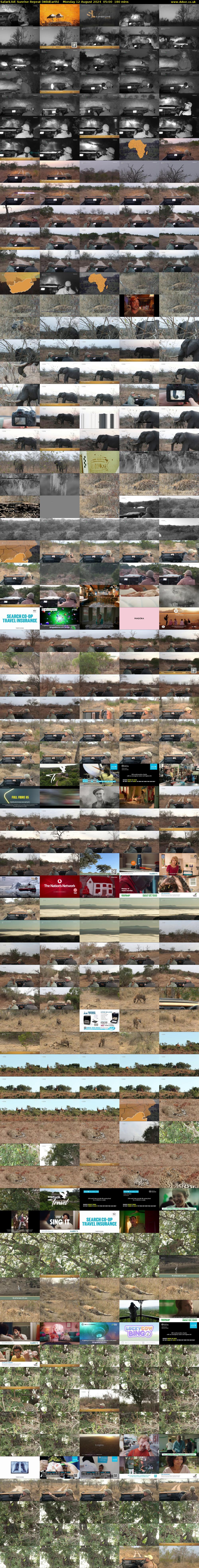SafariLIVE Sunrise REPEAT (WildEarth) Monday 12 August 2024 05:00 - 08:00