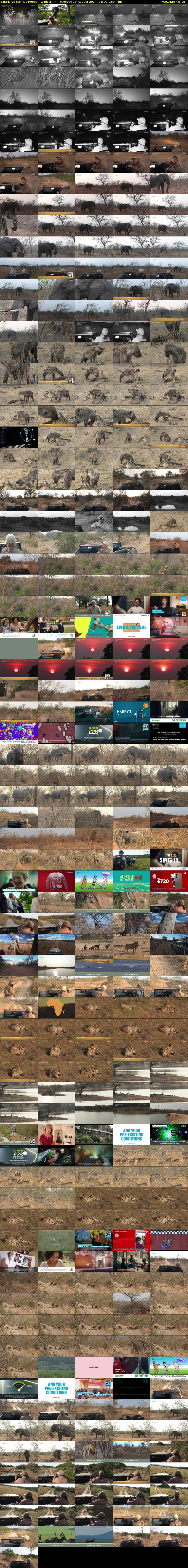 SafariLIVE Sunrise REPEAT (WildEarth) Tuesday 13 August 2024 05:00 - 08:00