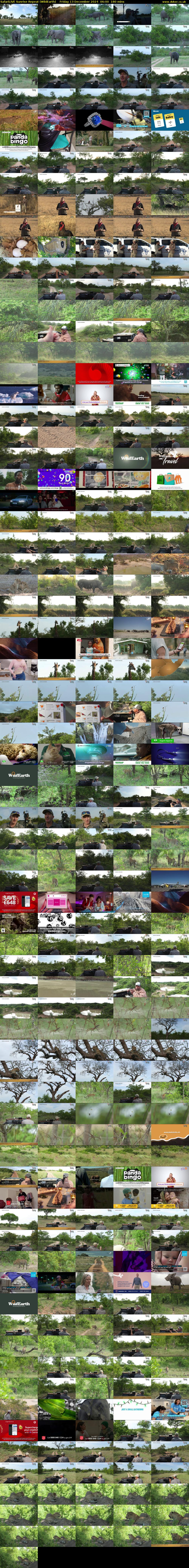 SafariLIVE Sunrise REPEAT (WildEarth) Friday 13 December 2024 06:00 - 09:00
