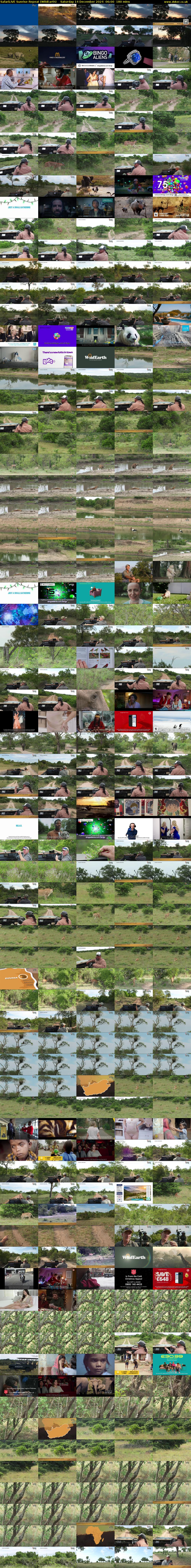 SafariLIVE Sunrise REPEAT (WildEarth) Saturday 14 December 2024 06:00 - 09:00