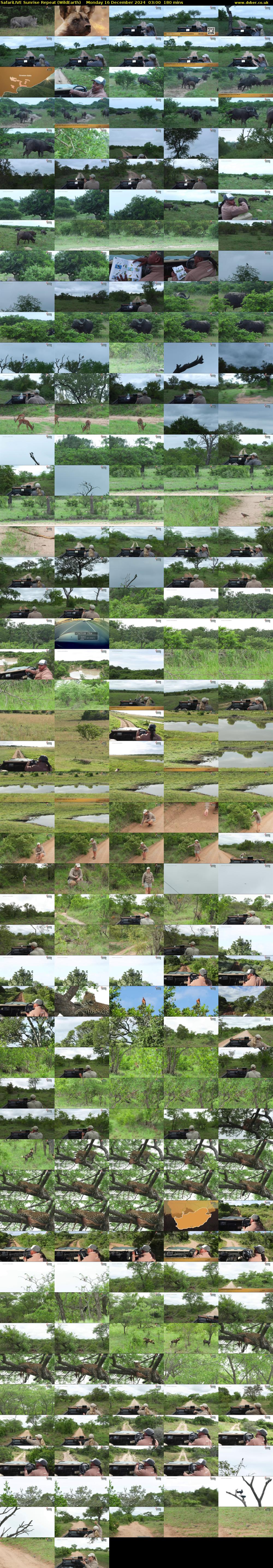 SafariLIVE Sunrise REPEAT (WildEarth) Monday 16 December 2024 03:00 - 06:00