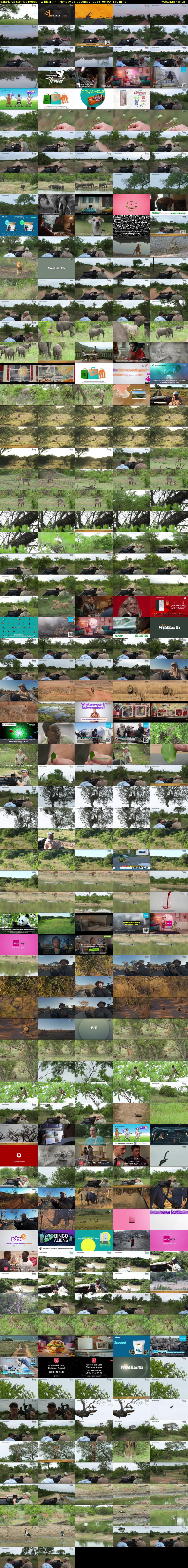 SafariLIVE Sunrise REPEAT (WildEarth) Monday 16 December 2024 06:00 - 09:00