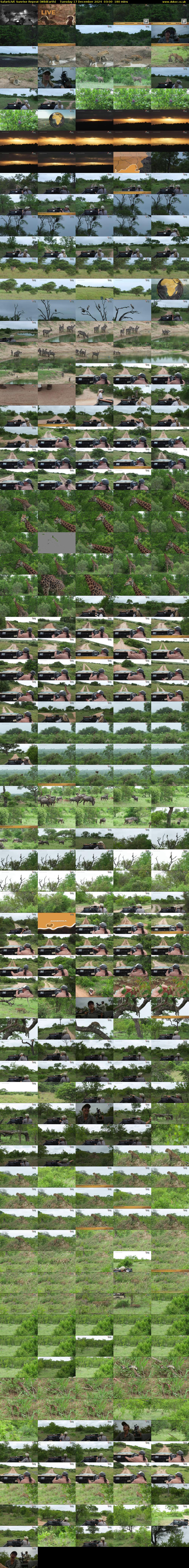 SafariLIVE Sunrise REPEAT (WildEarth) Tuesday 17 December 2024 03:00 - 06:00