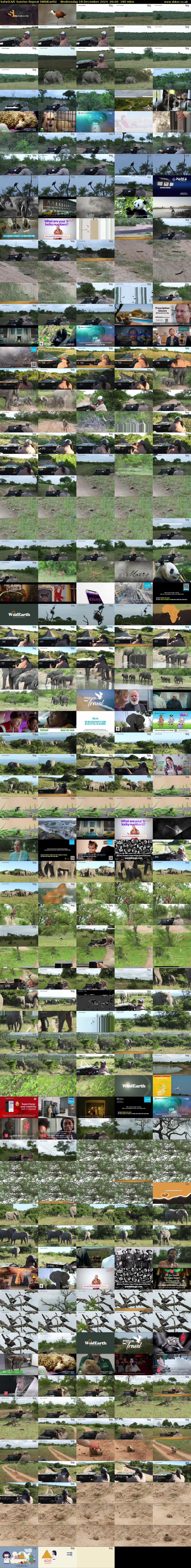 SafariLIVE Sunrise REPEAT (WildEarth) Wednesday 18 December 2024 06:00 - 09:00