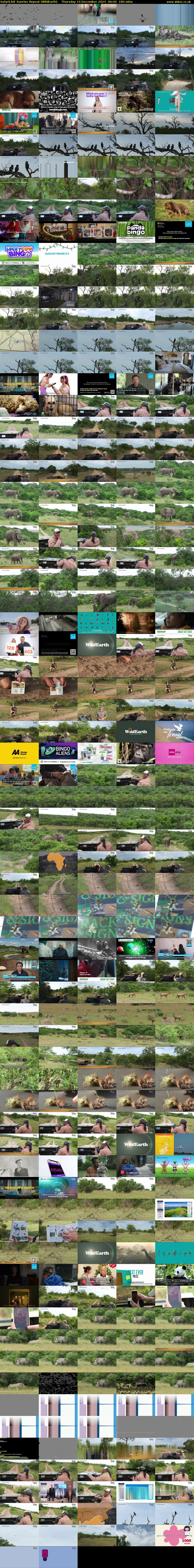 SafariLIVE Sunrise REPEAT (WildEarth) Thursday 19 December 2024 06:00 - 09:00