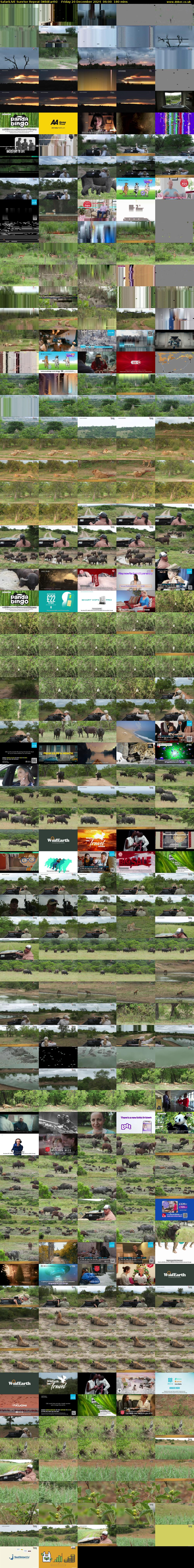 SafariLIVE Sunrise REPEAT (WildEarth) Friday 20 December 2024 06:00 - 09:00