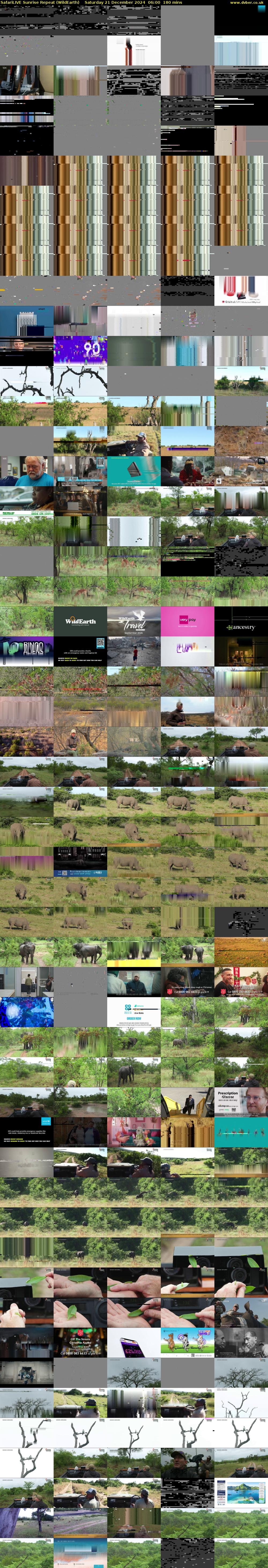 SafariLIVE Sunrise REPEAT (WildEarth) Saturday 21 December 2024 06:00 - 09:00