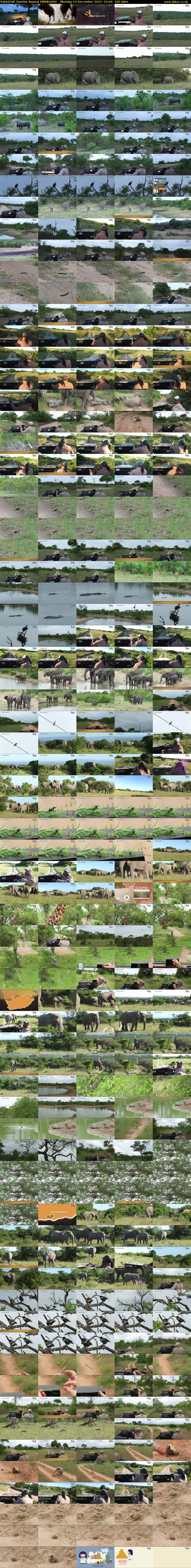 SafariLIVE Sunrise REPEAT (WildEarth) Monday 23 December 2024 03:00 - 06:00