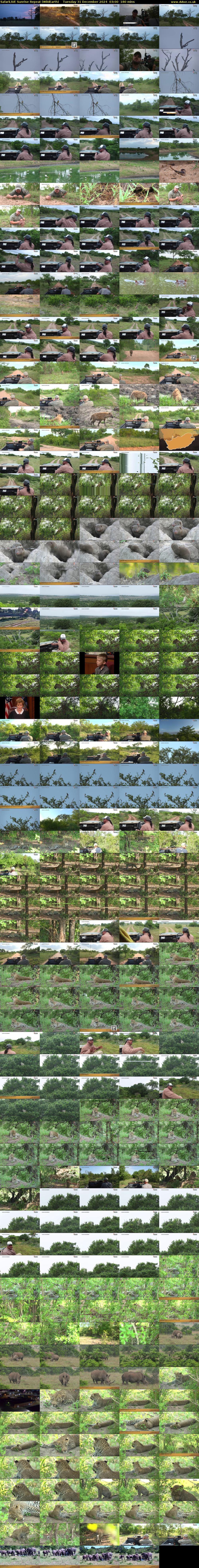 SafariLIVE Sunrise REPEAT (WildEarth) Tuesday 31 December 2024 03:00 - 06:00